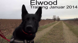 Elwood_Training_2014-01
