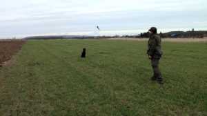 Penny Training 2014-01 Steadiness